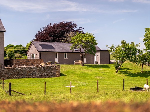 Bay Bungalow, 