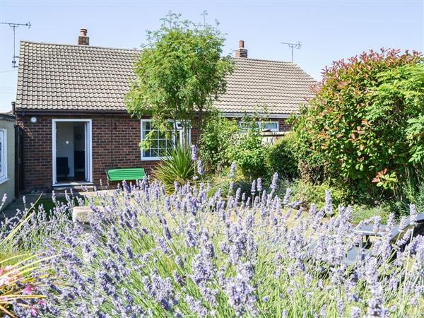 Beam Cottage in North Humberside