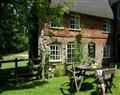Enjoy a leisurely break at Beech Cottage; Bridport; Dorset