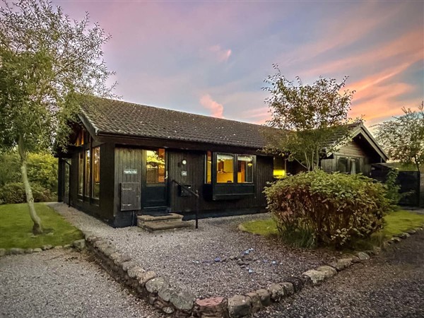 Beech Hollow in Cumbria