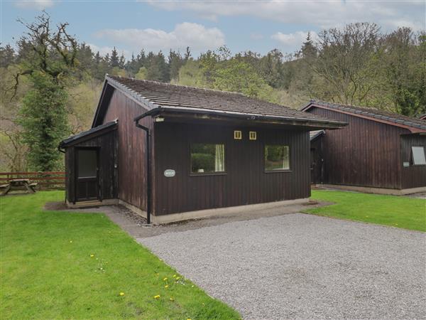 Beech Timber Lodge - Cumbria
