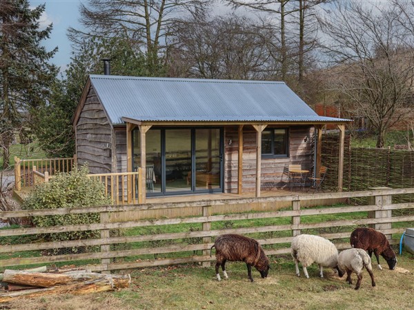 Beech Tree Cabin in North Yorkshire