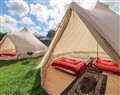 Take things easy at Bell Tent Two; ; Holmesfield near Dronfield