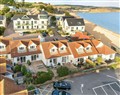 Bella Rosa - Dorset