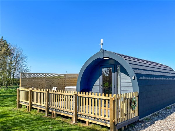 Birch in North Yorkshire