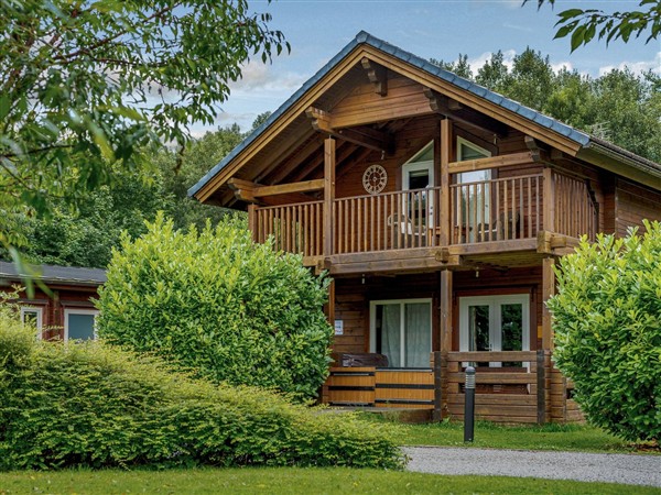 Birch Spa (Pet), 