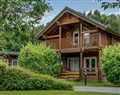 Birch Spa (Pet) - North Yorkshire