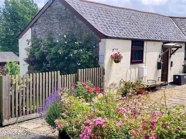 Birdsong Cottage in Devon