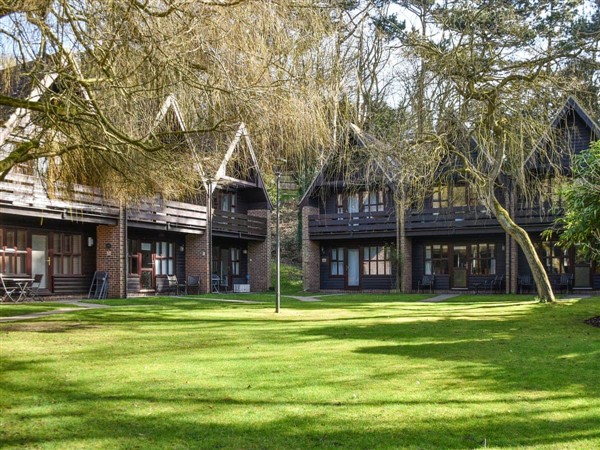 Bittern Lodge in Norfolk