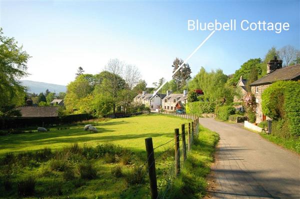 Bluebell Cottage in Llanrwst & Betws y Coed, Gwynedd