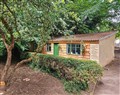 Forget about your problems at Bluebell Cottage; Devon