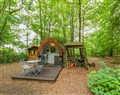 Bluebell Glamping Pod - Hampshire