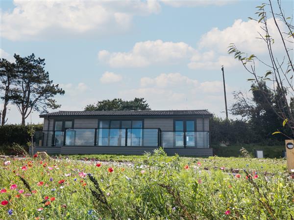 Bluebell Lodge in Devon