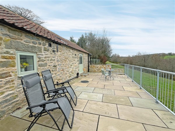 Bluebell in North Yorkshire