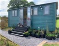Bluebell Shepherd's Hut - Gwynedd
