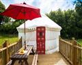 Enjoy your Hot Tub at Bluebell Yurt; Perranporth; The Atlantic Coast