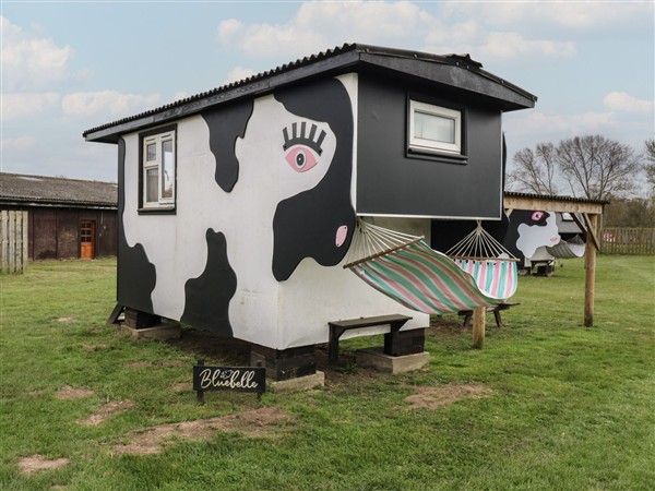 Bluebelle (Cow Shed 5) in Suffolk