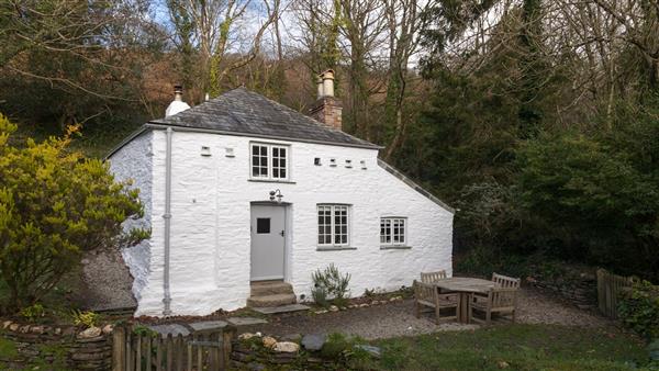 Boscastle Elm Cottage - Cornwall