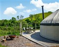 Relax at Bracken Yurt; Dorset