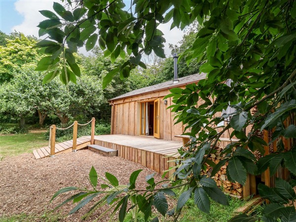 Brambly Cabin in Devon