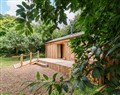 Brambly Cabin - Devon