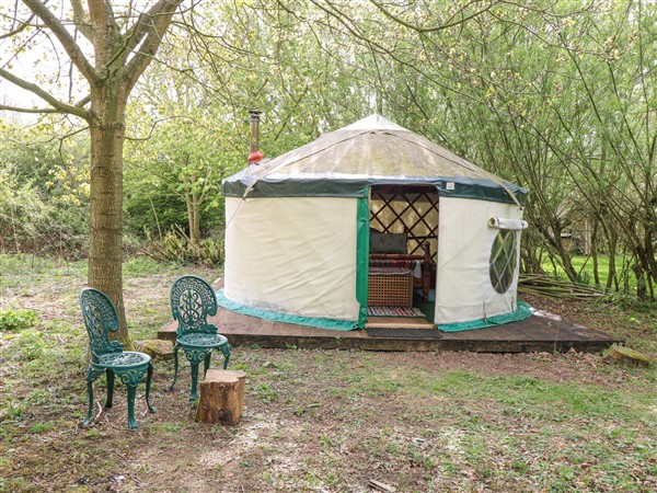 Brandon House Farm Yurt - Norfolk