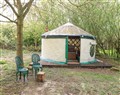 Brandon House Farm Yurt - Norfolk