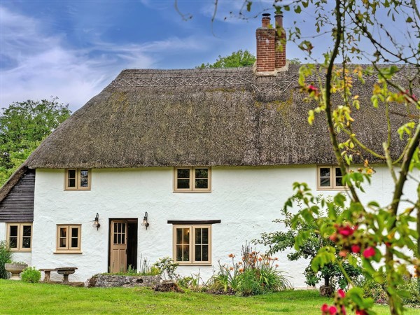 Briar House in Dorset