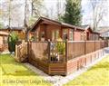 Take things easy at Broad Larch Lodge; ; Glade 16