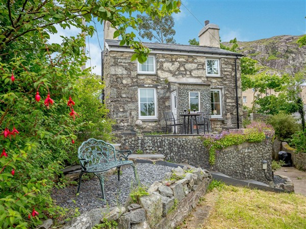 Brondderwen - Gwynedd
