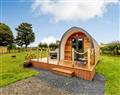 Lay in a Hot Tub at Brook Valley Glamping-Elm; Powys