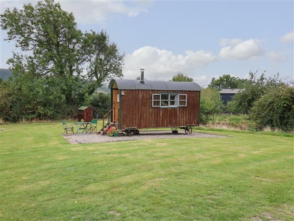 Brown Hare Shepherds Hut in Powys