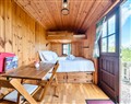 Bryn Mawr Cabin - Shropshire