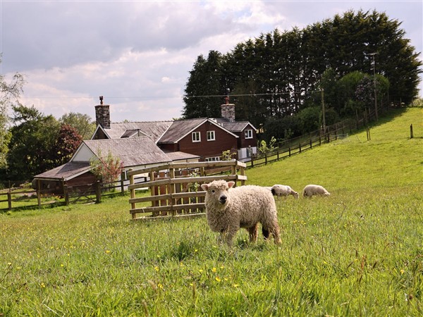 Bryn Y Garreg Cottage - The Wireless Tech Free Farm - Powys