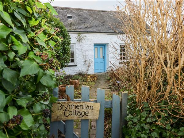 Brynhenllan Cottage - Dyfed