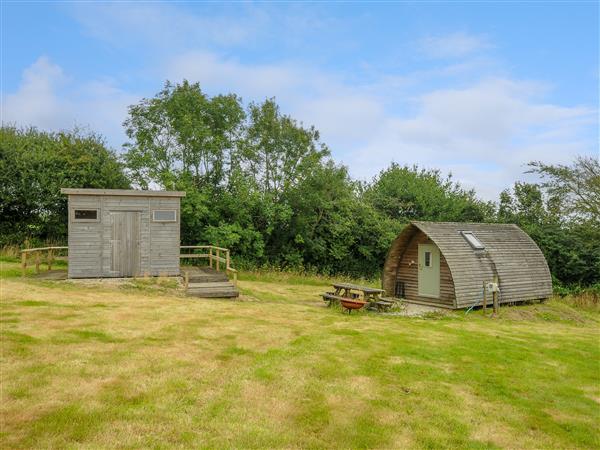 Bull Shed - Cornwall