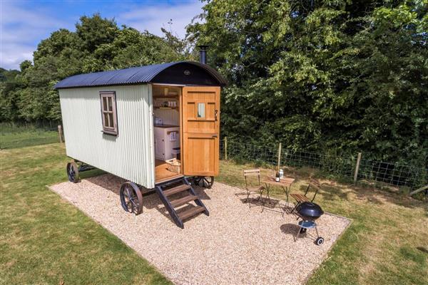 Buttercup Hut in East Sussex