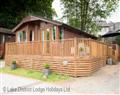 Lay in a Hot Tub at Buttermere Lodge; ; Glade 5