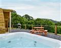 Relax in your Hot Tub with a glass of wine at Bwlchmaen Pods - Pod 2; Dyfed