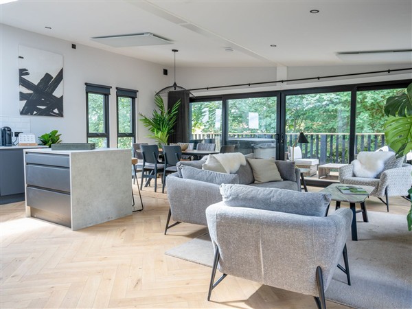 Cabin 2.0 Luxe (Pet), 