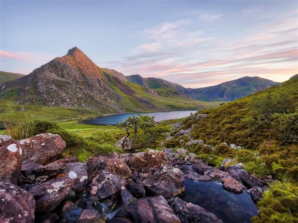 Cae Cwta in Gwynedd