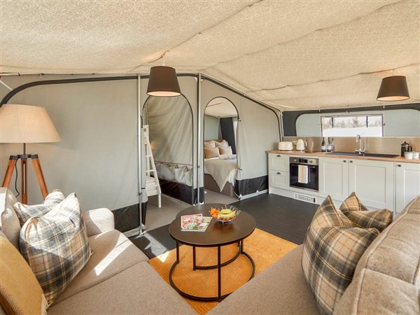 Cae Llwyn - Kingfisher in Powys