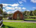 Relax in your Hot Tub with a glass of wine at Cambrian View Glamping - Ty Twt Teifi; Dyfed