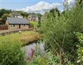 Forget about your problems at Canal Cottage; ; Drumshanbo