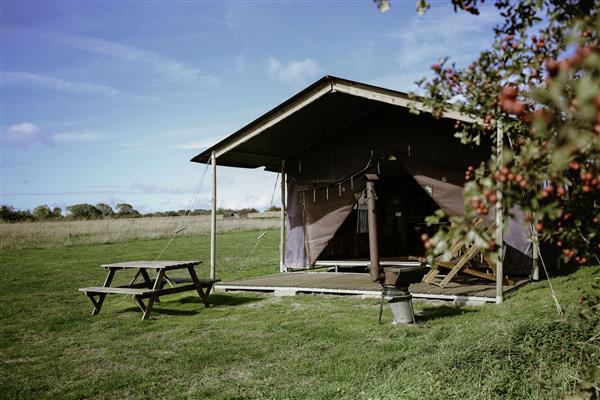 Canvas hideaway with en-suite shower at College Farm in Norfolk