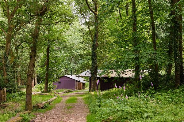 Canvas hideaway with en-suite shower at Midgham Farm in Hampshire