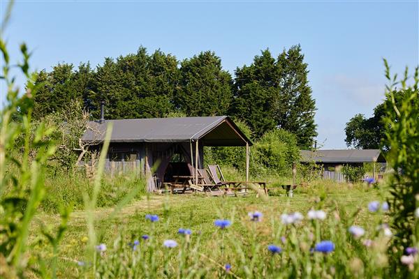 Canvas hideaway with private outdoor shower at Manor Farm in Hampshire