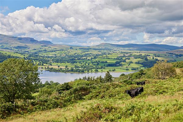 Canvas hideaway with private outdoor shower at Pant y March in Gwynedd