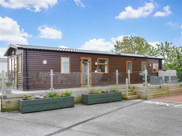 Cate's Cozy Cabin in Cumbria