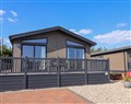 Forget about your problems at Cedar 1; ; Pinewood Retreat in Rousdon near Lyme Regis